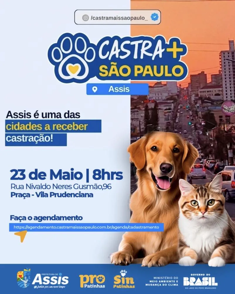 ✂️ Assis anuncia mutirão gratuito de castração para pets
